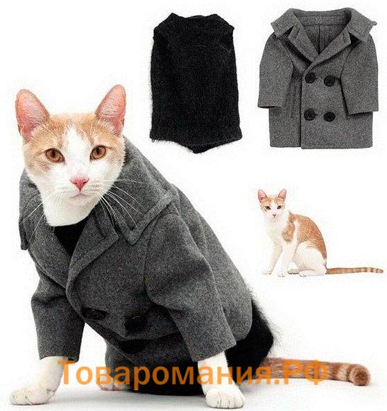Одежда и аксессуары для кошки