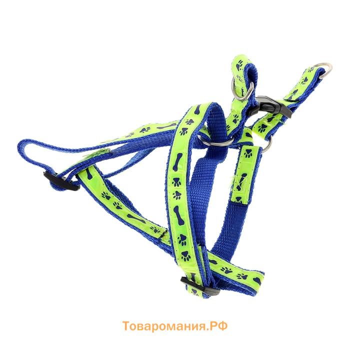 Комплект "Косточки и лапки" светоотражающий, поводок 120 х 1,5 см, ОГ 36-52 см, синий