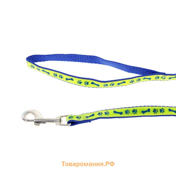 Комплект "Косточки и лапки" светоотражающий, поводок 120 х 1,5 см, ОГ 36-52 см, синий