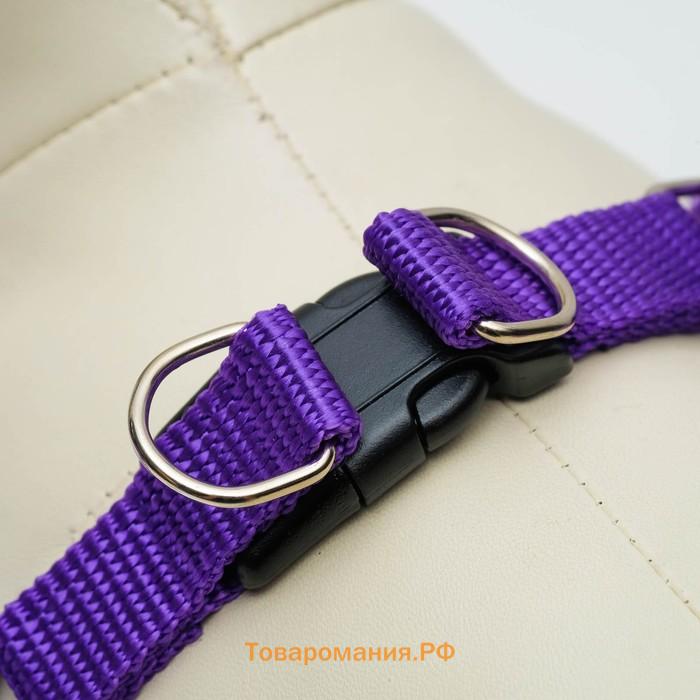 Комплект "Базис", поводок 120 х 1,5 см, ОГ 32-46 см, фиолетовый