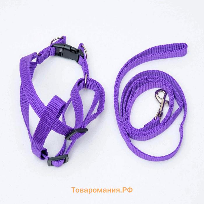 Комплект "Базис", поводок 120 х 1,5 см, ОГ 32-46 см, фиолетовый