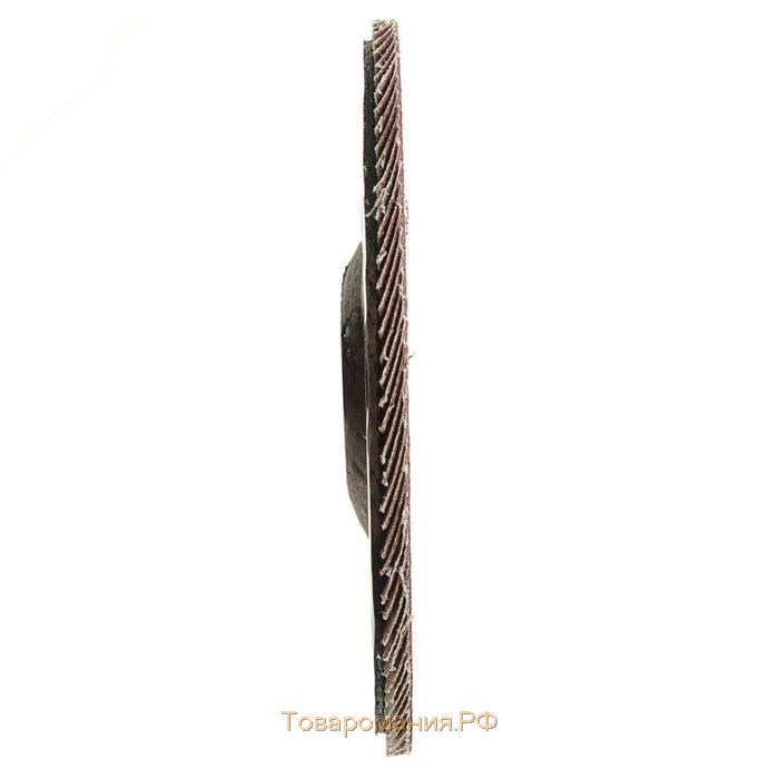 Круг лепестковый торцевой ТУНДРА, 150 х 22 мм, Р80