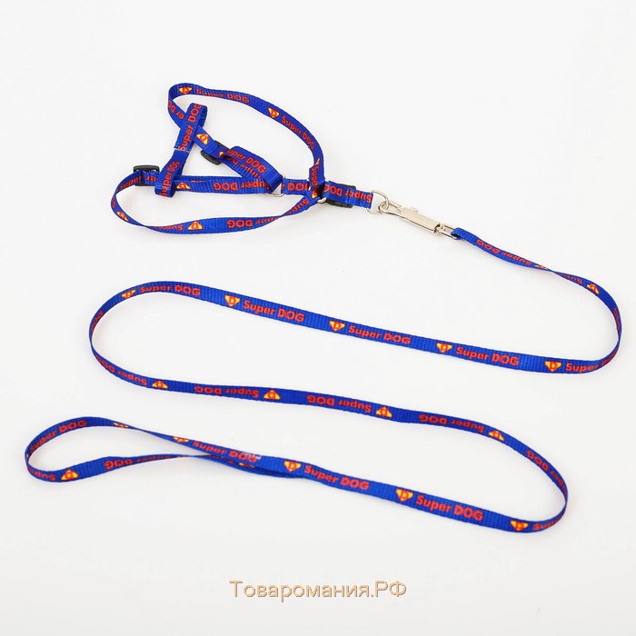 Комплект Super Dog, шлейка 26-39 см, поводок 120х1 см