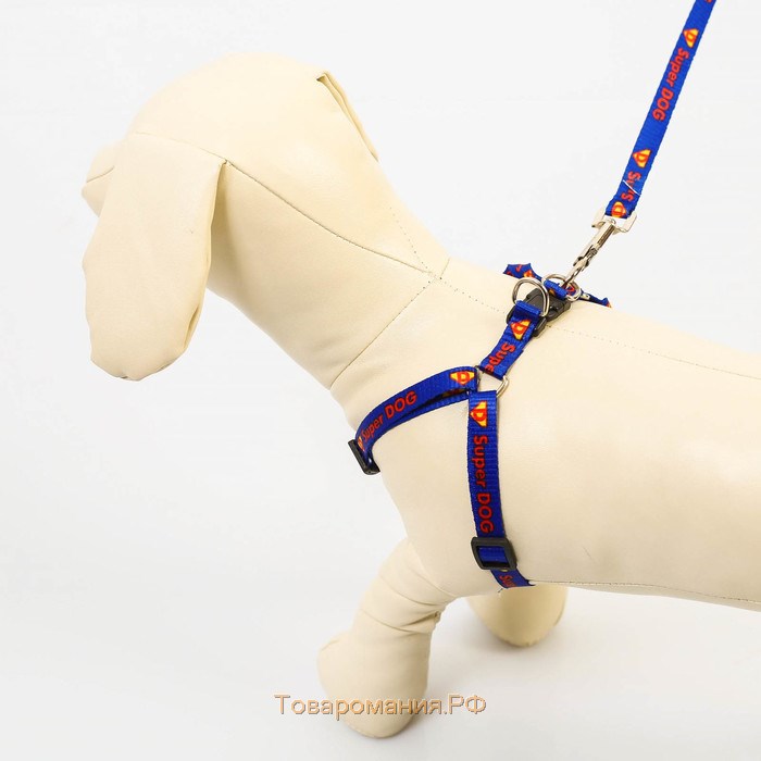Комплект Super Dog, шлейка 26-39 см, поводок 120х1 см