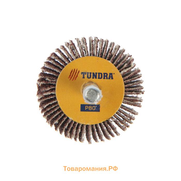 Круг лепестковый радиальный ТУНДРА, 40 х 20 х 6 мм, Р80