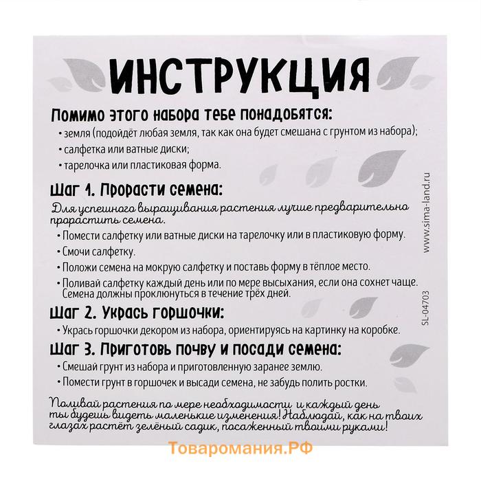 Набор для опытов, для детей «Милый садик», растение в горшочке «Кошечка»