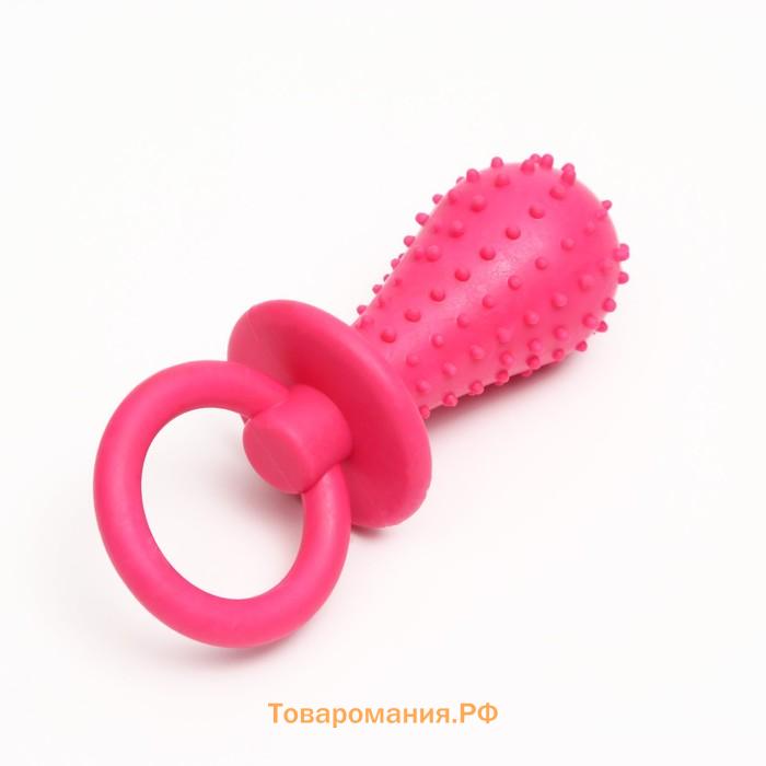 Игрушка жевательная "Соска", TPR, 10 х 3 см, розовая