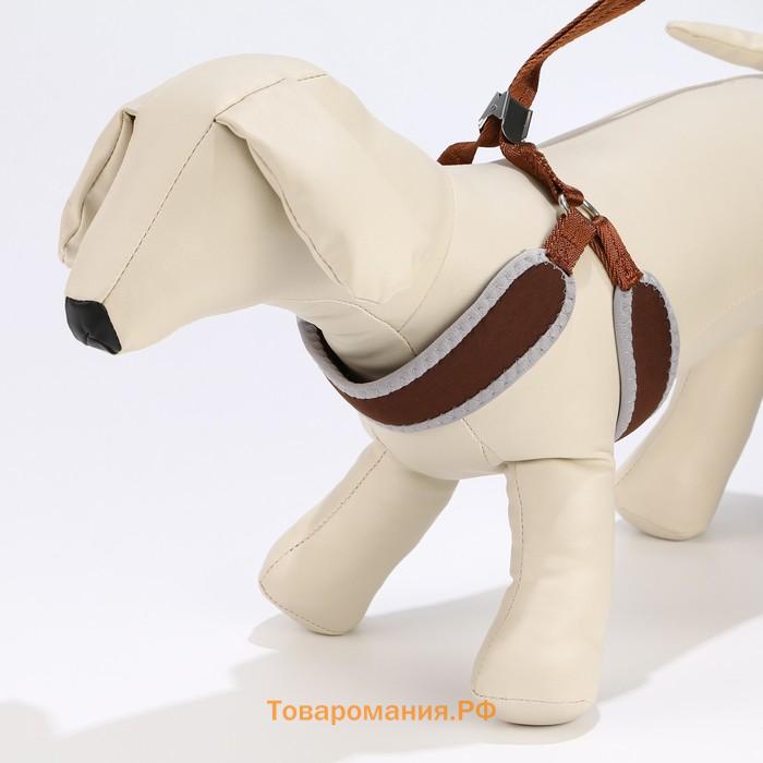 Комплект мягкая шлейка, круглый поводок 1,5 х 120 см с вертлюгом, M, ОШ 32-72 см, ОГ 32-72 см, корич