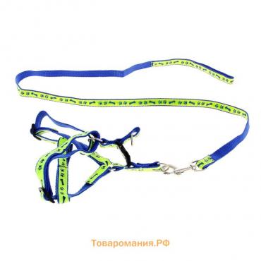 Комплект "Косточки и лапки" светоотражающий, поводок 120 х 1,5 см, ОГ 36-52 см, синий
