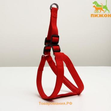 Шлейка "Комфорт" комбинированная, 2,5 см, ОШ 55-70 см, ОГ 60-73 см, красная