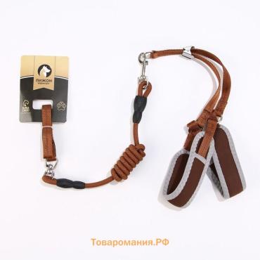 Комплект мягкая шлейка, круглый поводок 1,5 х 120 см с вертлюгом, M, ОШ 32-72 см, ОГ 32-72 см, корич